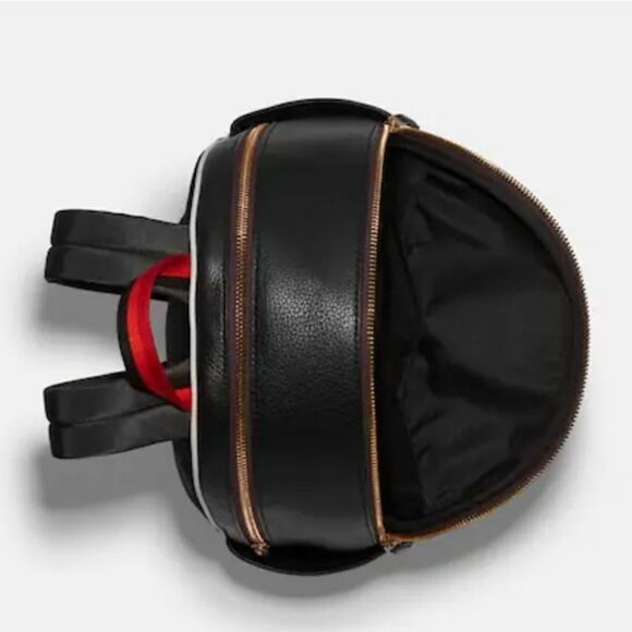 Coach Court Backpack With Tiger Print - Picture 3 of 4